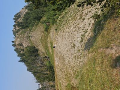 Pintler Pass