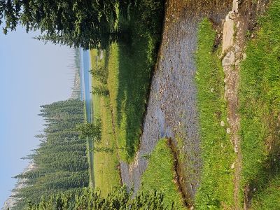 Johnson Lake