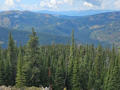 Both Cedar Log Lakes