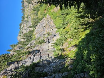 Along the Trail