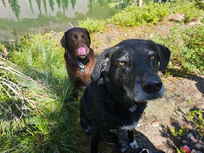 Skye & Pepper