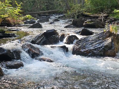 West Fork Fish Creek