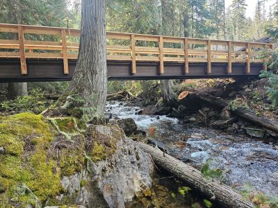 The New Bridge