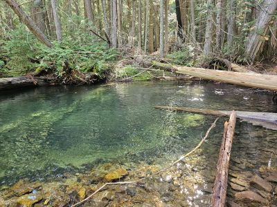 Swimming Hole