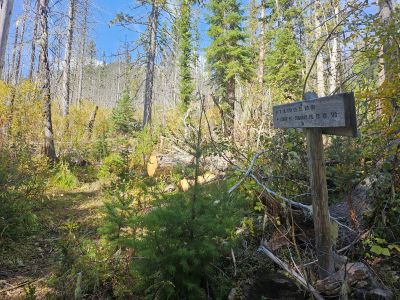 Cedar Peak Trail