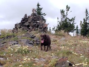 Eagle Peak