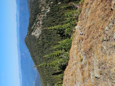 Gold Peak from Eagle Peak