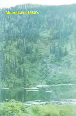 Moore Lake 1980