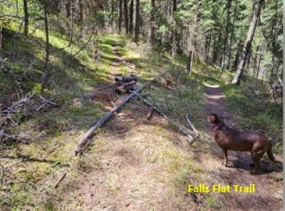 Connector Trail 2024
