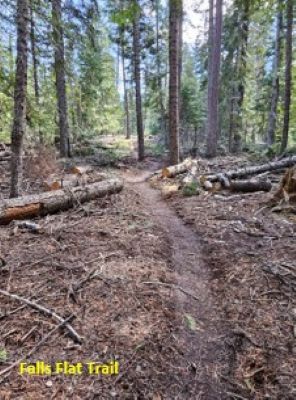 Connector Trail 2024
