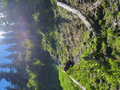 Looking up Trail #261