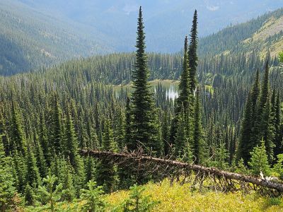 Frog Lake From Stateline Trail
