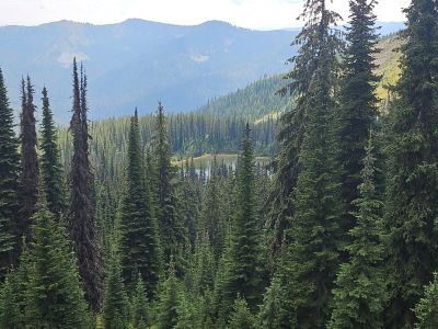 Frog Lake From Stateline Trail