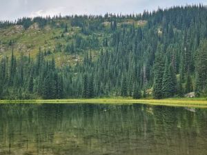 Frog Lake