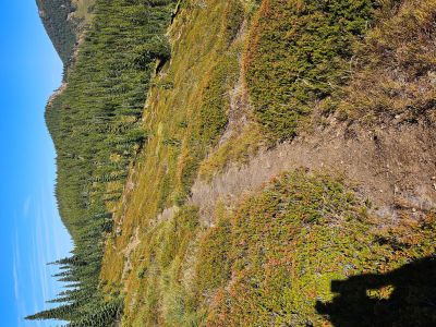 Ridge Trail to Lost Peak