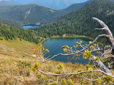 Oregon Lakes From High Point