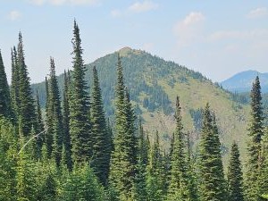 OregonPeak