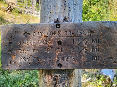 Sheep Mtn Junction Sign