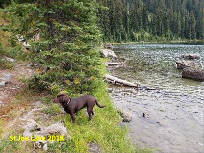 St Joe Lake 2018