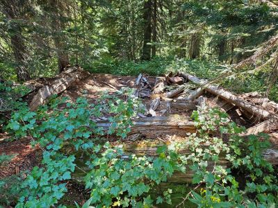 Cabin Site