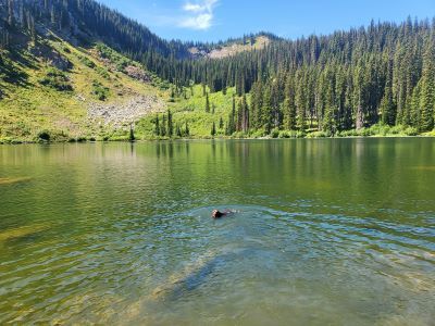 Trail Lake 2023