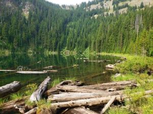Evans Lake