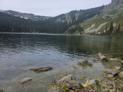 Lower Blossom Lake 2025