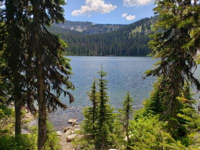 Lower Blossom Lake 2019