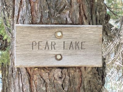 Pear Lake 2021
