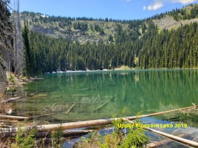 Upper Blossom Lake 2019