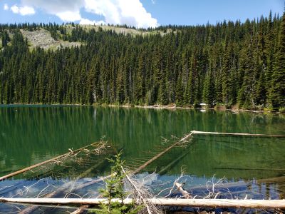 Upper Blossom Lake 2019