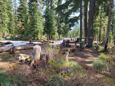 Upper Blossom Lake 2023