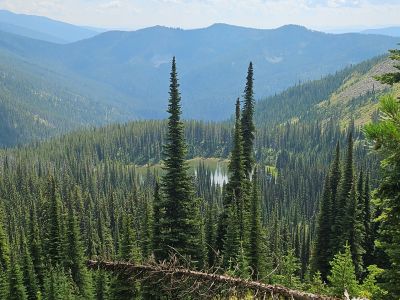 Frog Lake from Stateline Trail