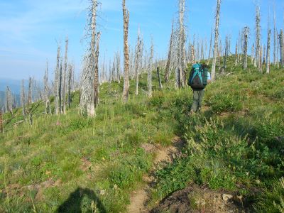 Heading North From Upper Siamese Lake