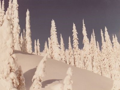 Hoodoo Pass 1984