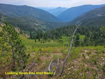 Irish Basin