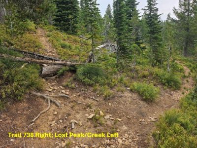 Split of Lost Peak & Stateline trails