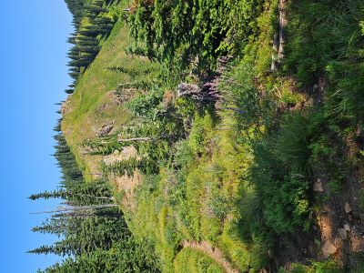Stateline Above Tarns