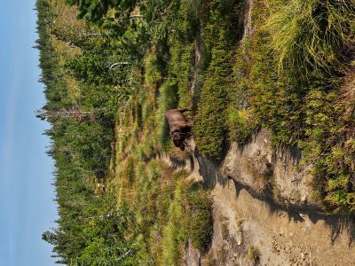 Stateline Trail Above Bonanza