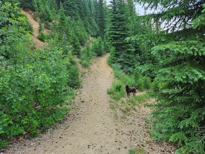 Skye on the Trail